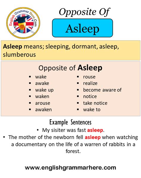 antonyms asleep|opposite of sleep meaning.